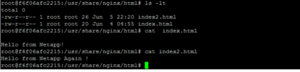 index.html file