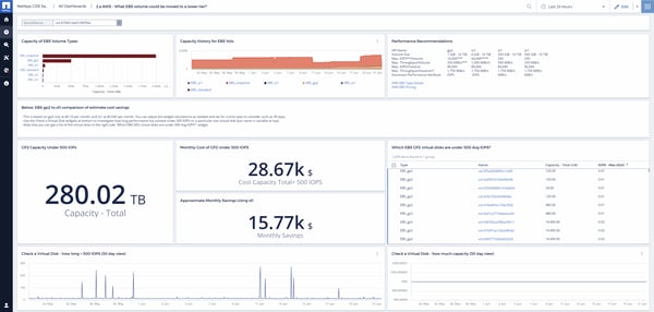 All of this information is displayed in a single dashboard that you can use to convey up-to-the-minute information on both the value and efficiency of your AWS environment.