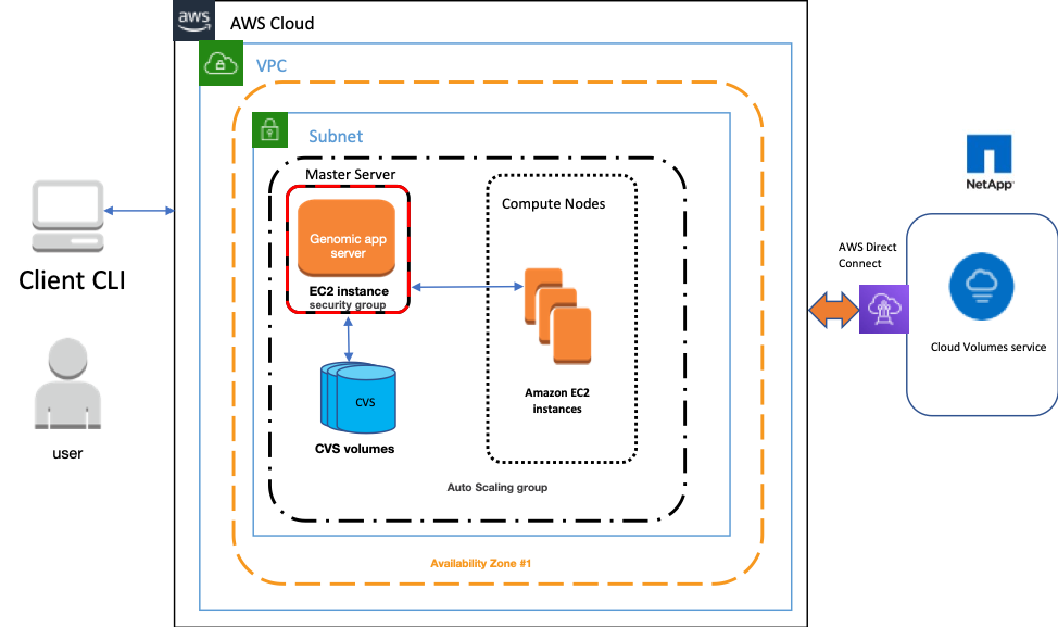 Architecture for Configuring HPC on AWS with Cloud Volumes Service